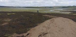 Nature Diary Nigel Mortimer | Surveying the Saltstone